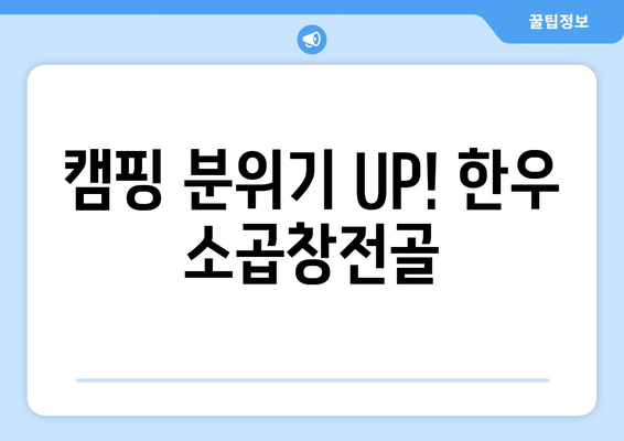 캠핑 분위기 UP! 한우 소곱창전골