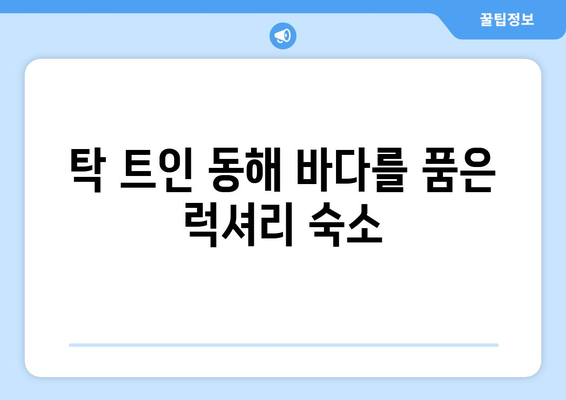 고성의 숨겨진 보석| 에디터가 직접 추천하는 르네 블루 바이 워커힐 | 고성 숙소 추천, 워커힐 호텔, 르네 블루, 강원도 여행