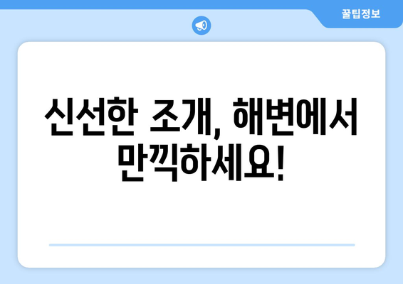 신선한 조개, 해변에서 만끽하세요!