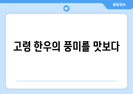 고령 한우의 풍미를 맛보다