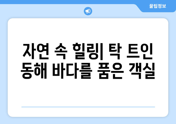 고성 르네 블루 바이 워커힐 숙박 후기| 객실, 부대시설, 조식까지 솔직하게 평가 | 강원도, 워커힐, 호텔 후기, 가족 여행