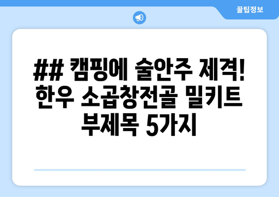 ## 캠핑에 술안주 제격! 한우 소곱창전골 밀키트 부제목 5가지