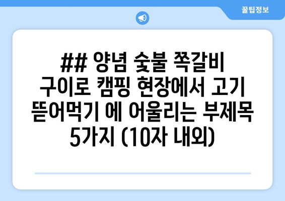 ## 양념 숯불 쪽갈비 구이로 캠핑 현장에서 고기 뜯어먹기 에 어울리는 부제목 5가지 (10자 내외)