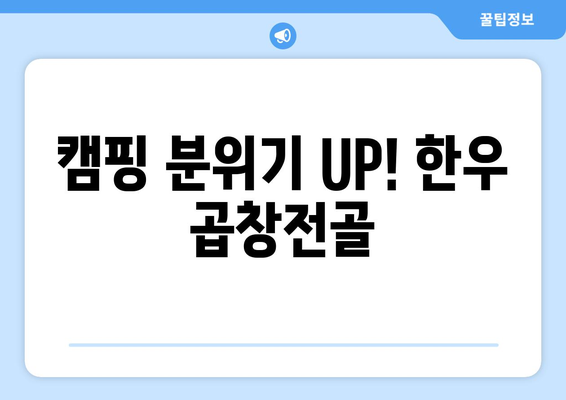 캠핑 분위기 UP! 한우 곱창전골