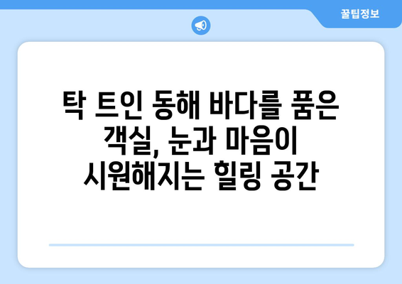 고성 르네 블루 바이 워커힐 호텔 후기| 객실, 부대시설, 그리고 잊지 못할 경험 | 강원도, 숙박, 여행, 워커힐, 호텔 추천