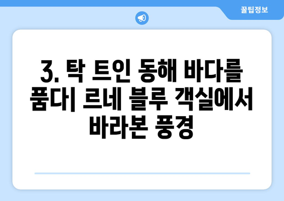 고성 르네 블루 바이 워커힐, 객실 & 부대시설 리뷰| 솔직한 후기 | 강원도 고성, 워커힐, 호텔 리뷰, 가족 여행