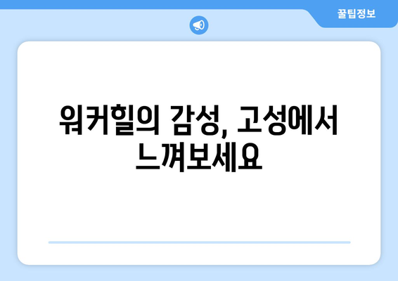 고성의 숨겨진 보석| 에디터가 직접 추천하는 르네 블루 바이 워커힐 | 고성 숙소 추천, 워커힐 호텔, 르네 블루, 강원도 여행