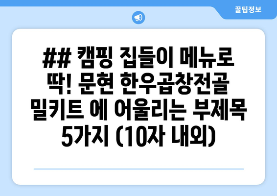 ## 캠핑 집들이 메뉴로 딱! 문현 한우곱창전골 밀키트 에 어울리는 부제목 5가지 (10자 내외)