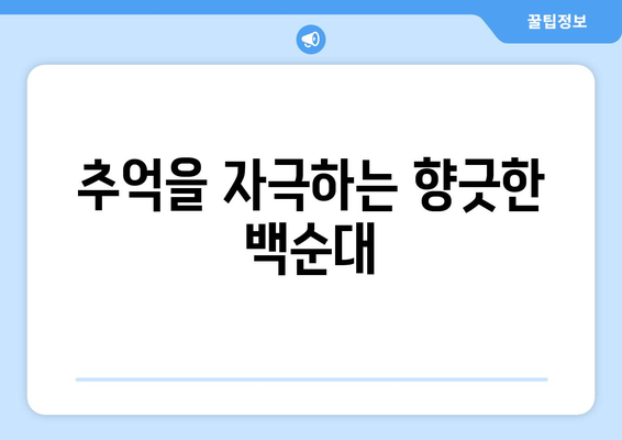 추억을 자극하는 향긋한 백순대