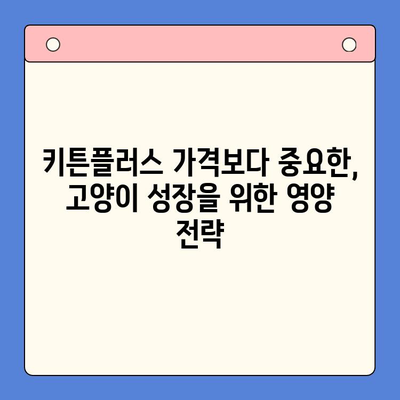 키튼플러스 가격보다 중요한, 반려묘 성장 관리의 핵심 전략 | 키튼플러스, 고양이 성장, 건강 관리, 영양, 팁