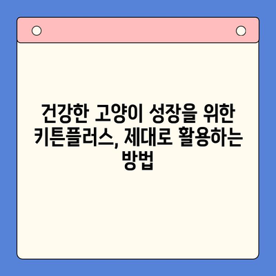 키튼플러스 가격보다 중요한, 반려묘 성장 관리의 핵심 전략 | 키튼플러스, 고양이 성장, 건강 관리, 영양, 팁