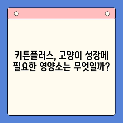 키튼플러스 가격보다 중요한, 반려묘 성장 관리의 핵심 전략 | 키튼플러스, 고양이 성장, 건강 관리, 영양, 팁