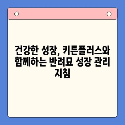 키튼플러스 가격보다 중요한, 반려묘 성장 관리의 핵심 전략 | 키튼플러스, 고양이 성장, 건강 관리, 영양, 팁