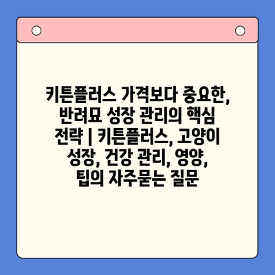 키튼플러스 가격보다 중요한, 반려묘 성장 관리의 핵심 전략 | 키튼플러스, 고양이 성장, 건강 관리, 영양, 팁