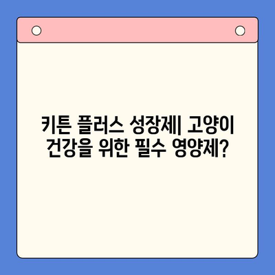 키튼 플러스 성장제| 가격, 효과, 그리고 당신의 고양이에게 필요한 것 | 고양이 영양제, 키튼 성장, 건강 관리