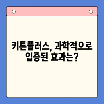 키튼플러스 효과, 정말 있을까? | 궁금증 해결, 사용 후기 및 전문가 분석