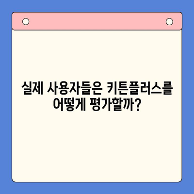 키튼플러스 효과, 정말 있을까? | 궁금증 해결, 사용 후기 및 전문가 분석