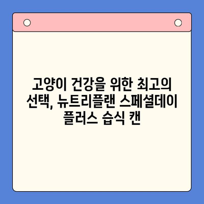 뉴트리플랜 스페셜데이 플러스 습식 캔| 고양이 건강을 위한 영양 만점 선택 | 고양이 사료, 습식 캔, 뉴트리플랜, 고양이 영양
