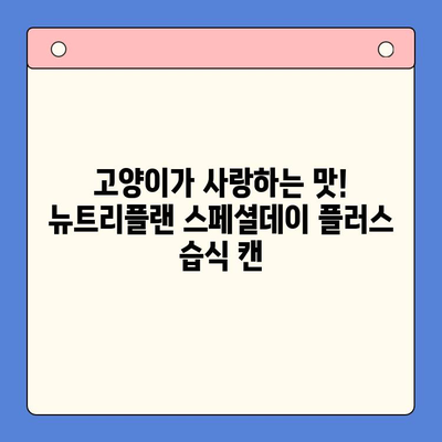 뉴트리플랜 스페셜데이 플러스 습식 캔| 고양이 건강을 위한 영양 만점 선택 | 고양이 사료, 습식 캔, 뉴트리플랜, 고양이 영양