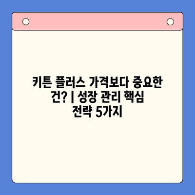 키튼 플러스 가격보다 중요한 건? | 성장 관리 핵심 전략 5가지