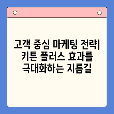 키튼 플러스 가격보다 중요한 건? | 성장 관리 핵심 전략 5가지