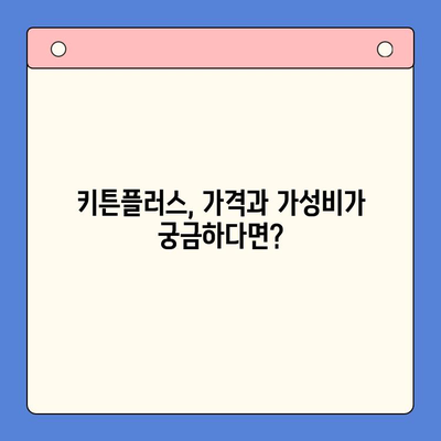 키튼플러스 가격 & 가성비 비교 분석| 성장 영양제 선택 가이드 | 고양이, 영양제, 건강, 성장