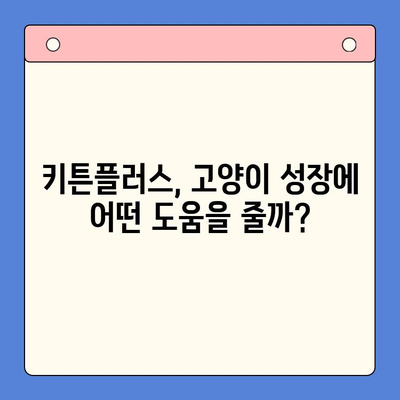 키튼플러스 가격 & 가성비 비교 분석| 성장 영양제 선택 가이드 | 고양이, 영양제, 건강, 성장