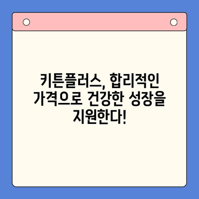 키튼플러스 가격 & 가성비 비교 분석| 성장 영양제 선택 가이드 | 고양이, 영양제, 건강, 성장