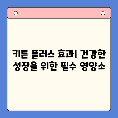 키튼 플러스 가격, 효과, 장점 총정리| 당신에게 맞는 선택인가요? | 키튼 플러스, 가격 비교, 효능, 부작용, 구매 가이드