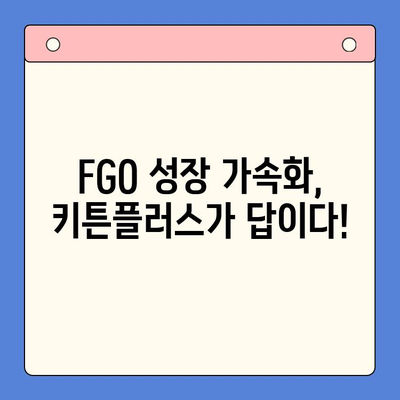 FGO 여름방학, 키튼플러스로 더 강력하게! | FGO, 키튼플러스, 서번트 육성, 효율적인 성장