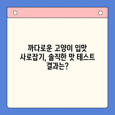 헤일로 키튼캔 vs 로얄캐닌 파우치| 습식 반려묘 간식, 어떤 게 더 좋을까요? | 솔직한 맛 테스트 & 비교 분석