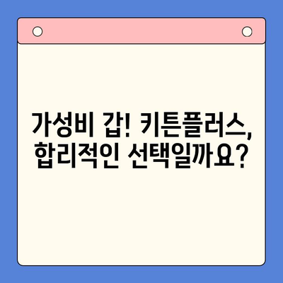 키튼플러스 효과 & 가성비 비교 분석| 나에게 맞는 선택은? | 키튼플러스, 건강보조식품, 비교, 추천
