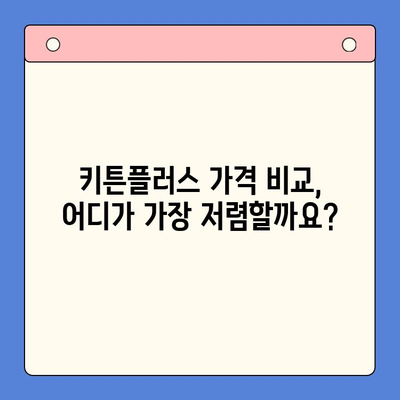 키튼플러스 가격 & 주의사항 완벽 정리| 알아두면 득템! | 키튼플러스, 가격 비교, 구매 가이드, 할인 정보
