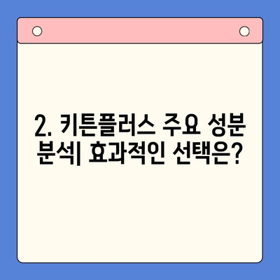 키튼플러스 가격 & 함량 완벽 분석|  어떤 제품이 나에게 맞을까? | 키튼플러스 비교, 추천, 가성비