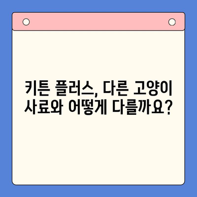 키튼 플러스 가격과 성분 비교 분석| 왜 내가 키튼 플러스를 선택했는지 알려드릴게요! | 키튼 플러스, 고양이 사료, 가격 비교, 성분 분석