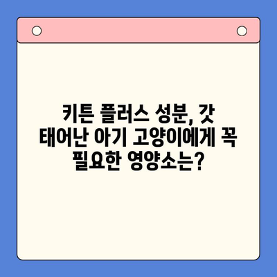 키튼 플러스 가격과 성분 비교 분석| 왜 내가 키튼 플러스를 선택했는지 알려드릴게요! | 키튼 플러스, 고양이 사료, 가격 비교, 성분 분석