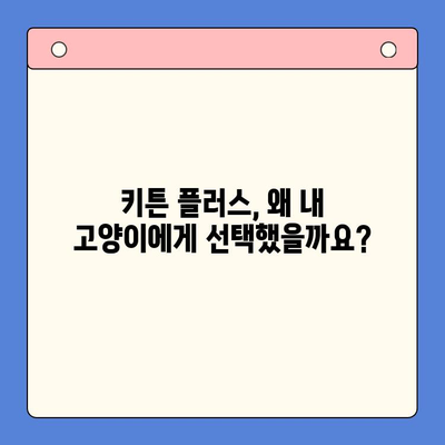 키튼 플러스 가격과 성분 비교 분석| 왜 내가 키튼 플러스를 선택했는지 알려드릴게요! | 키튼 플러스, 고양이 사료, 가격 비교, 성분 분석
