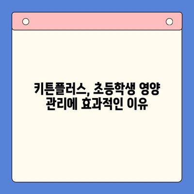 키튼플러스, 초등학생 영양 관리에 효과적인가요? | 성장기 영양, 키튼플러스 효과, 초등학생 영양제