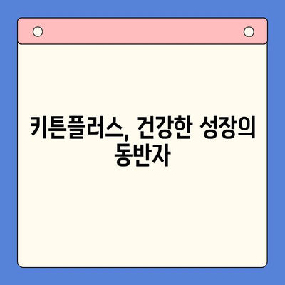 키튼플러스의 다양한 혜택| 건강한 성장을 위한 최상의 파트너 | 반려묘 건강, 영양, 면역력 강화, 키튼플러스 장점