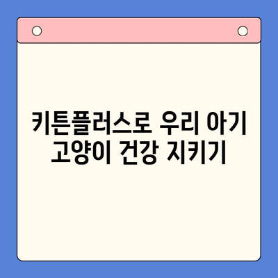 키튼플러스의 다양한 혜택| 건강한 성장을 위한 최상의 파트너 | 반려묘 건강, 영양, 면역력 강화, 키튼플러스 장점