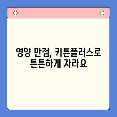 키튼플러스의 다양한 혜택| 건강한 성장을 위한 최상의 파트너 | 반려묘 건강, 영양, 면역력 강화, 키튼플러스 장점