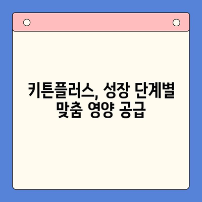 키튼플러스의 다양한 혜택| 건강한 성장을 위한 최상의 파트너 | 반려묘 건강, 영양, 면역력 강화, 키튼플러스 장점