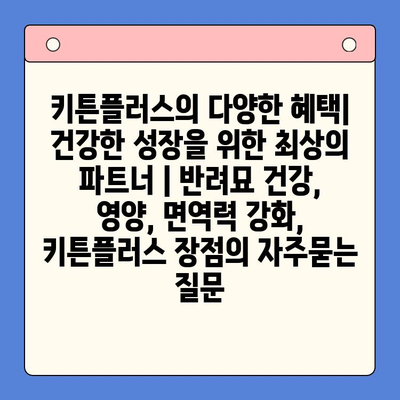 키튼플러스의 다양한 혜택| 건강한 성장을 위한 최상의 파트너 | 반려묘 건강, 영양, 면역력 강화, 키튼플러스 장점