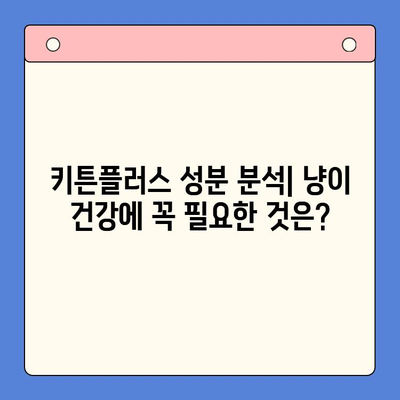 키튼플러스 가격, 성분만 보고 고를 수 있을까요? | 키튼플러스, 가격 비교, 성분 분석, 추천