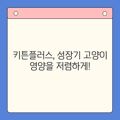 키튼플러스 저렴한 가격| 성장기 영양, 이젠 저렴하게! | 키튼플러스, 고양이 사료, 저렴한 가격, 성장기 영양