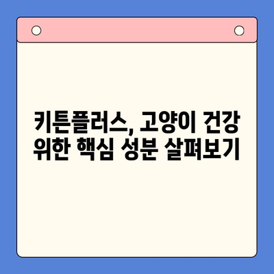 키튼플러스 성분 분석| 꼼꼼하게 비교하고 선택하세요 | 키튼플러스, 고양이 사료, 성분 분석, 영양 정보