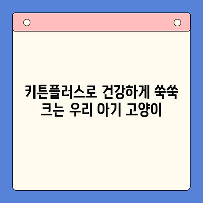 키튼플러스, 합리적인 가격으로 성장기 고양이 영양 관리 | 키튼플러스, 고양이 영양제, 성장, 건강