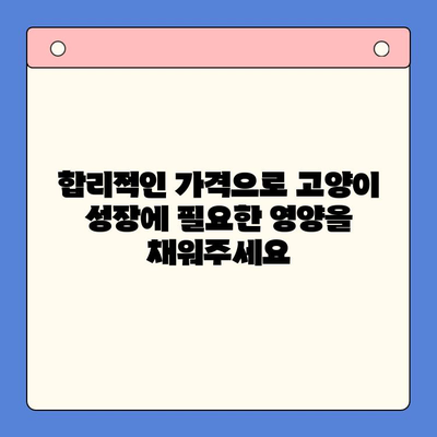 키튼플러스, 합리적인 가격으로 성장기 고양이 영양 관리 | 키튼플러스, 고양이 영양제, 성장, 건강