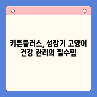 키튼플러스, 합리적인 가격으로 성장기 고양이 영양 관리 | 키튼플러스, 고양이 영양제, 성장, 건강