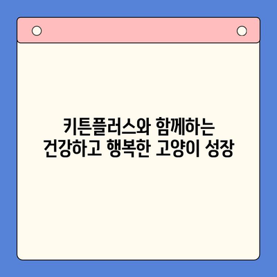 키튼플러스, 합리적인 가격으로 성장기 고양이 영양 관리 | 키튼플러스, 고양이 영양제, 성장, 건강